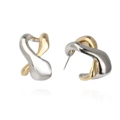 New ASPEN EARRING Earrings