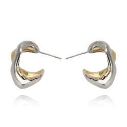 New ASPEN EARRING Earrings