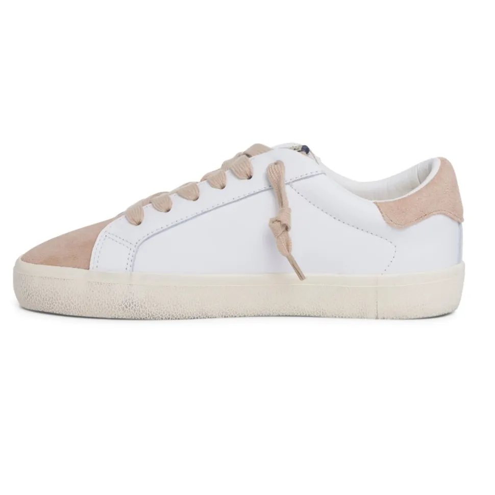 Flash Sale EXCEL - WHITE MULTI Low Tops